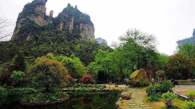 张家界一日游旅游详细攻略，张家界最好的几个景区