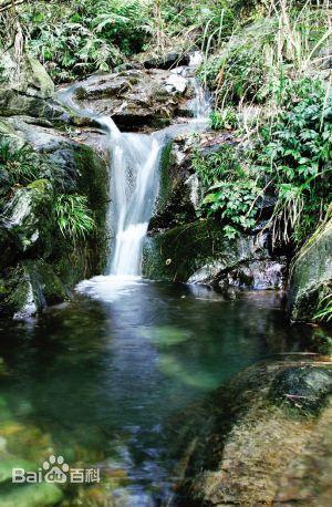 四明山国家森林公园，四明山国家公园景区