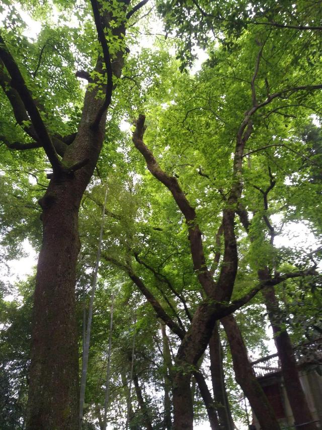宁波雪窦山，宁波自驾游最佳去处