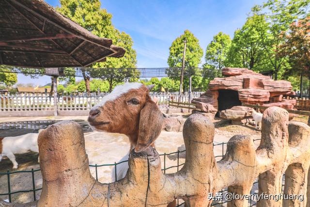 安吉旅游必去的景点，安吉旅游攻略必去景点推荐