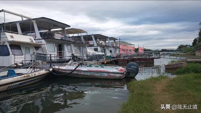 品尝仙海生态鱼，仙海湖哪家鱼好吃