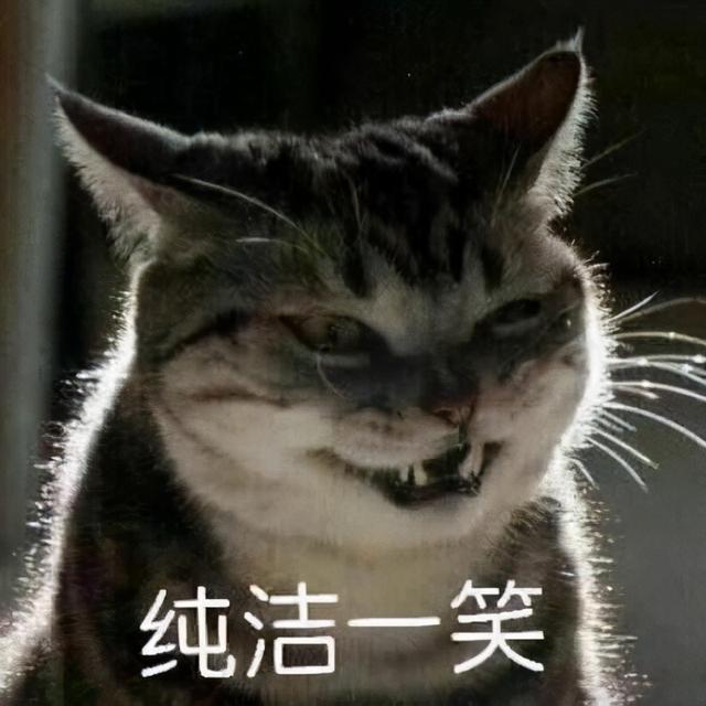iphone 充电快捷指令语音提醒，iPhone充满电之后