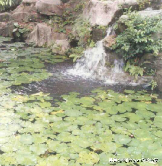 初学单反摄影技巧图解，请先从认识相机开始