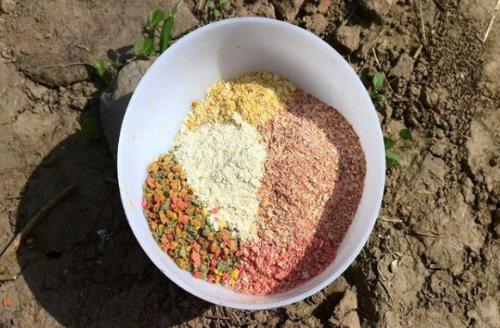 实测野钓鲤鱼配方，野钓鲤鱼经典配方