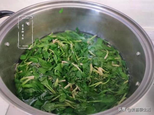 发笋芽的正宗做法，春天这菜芽最鲜嫩