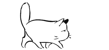 猫的品种有哪些，猫咪品种大全介绍各种品种的猫（那些常见的猫咪品种大盘点）