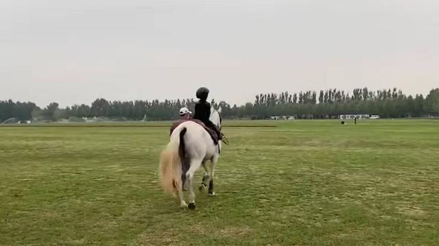 窦靖童同款西装裤，窦靖童登《VOGUE+》八月封面