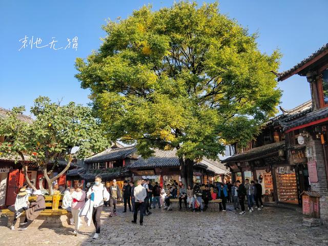 冬天去丽江旅游需要带什么，我为什么推荐你冬天来丽江