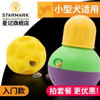 可爱的柯基怎么养成的，一步到位教你养好柯基狗