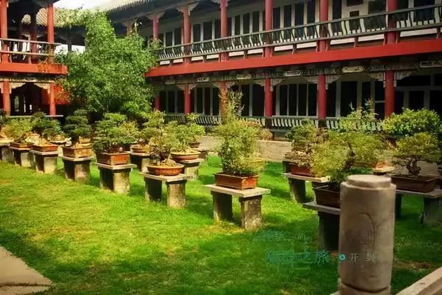 开封有什么好玩的地方，寒假必玩景点开封篇（暑假去开封玩哪里好玩）