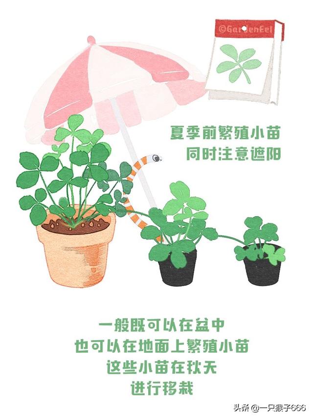 什么品种草莓好吃，草莓品种最好的是哪种（24种常见草莓品种）