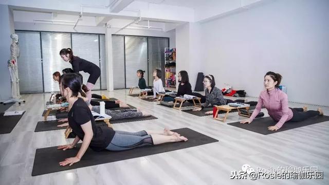 RYT200小時課程過半，學習、練習花絮揭秘了！ 健身減肥達人 第1张