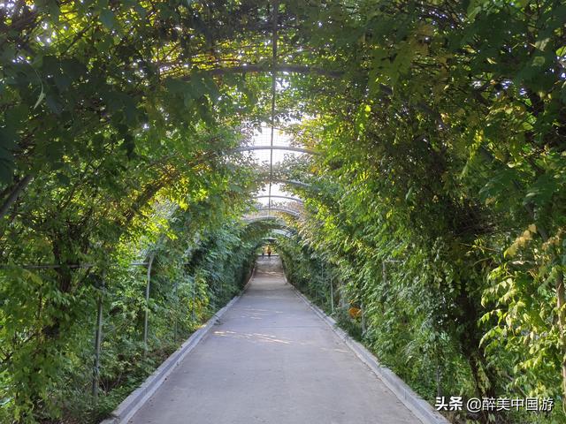 太原玉泉山景点，太原玉泉山景区游玩全攻略