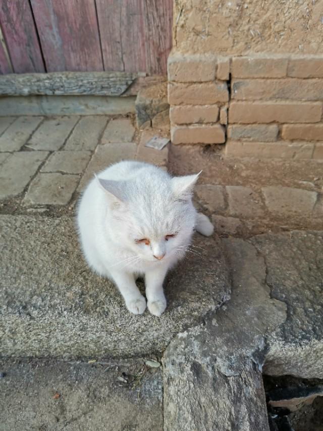 抱龙峪穿子午峪，子午峪-五道梁