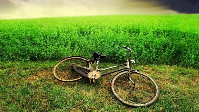 好看的电脑桌面图片，干净好看治愈系电脑桌面壁纸（一大波好看的电脑壁纸）