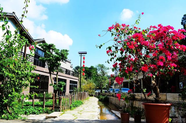 深圳甘坑客家小镇，深圳游玩甘坑客家小镇半日游攻略（客家文化特色小镇“甘坑古镇”）