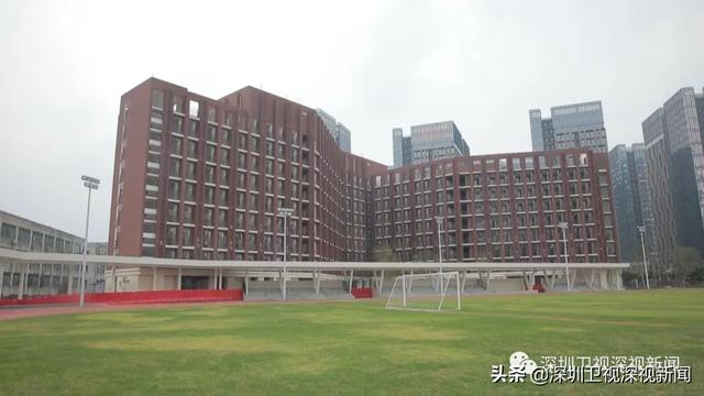 深圳四所重点学校，深圳公认最好的四所高中