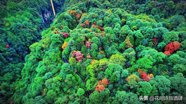 四川雅安附近又一野生动物园开业，四川雅安熊猫基地动物园