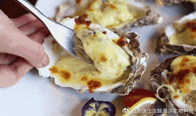生蚝肉怎么做好吃，不加壳的生蚝怎么吃（这个季节的生蚝肥美）