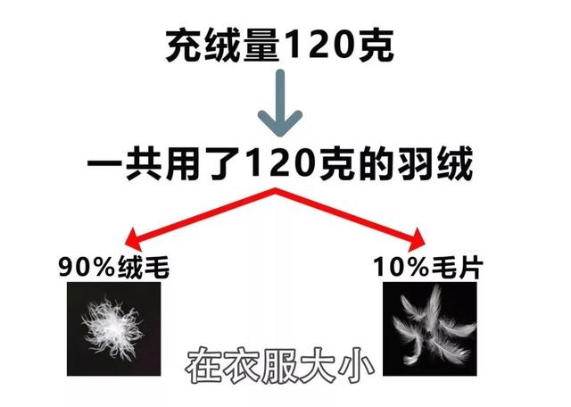 洗衣机羽绒服模式，洗衣机洗羽绒服应该要什么模式（揭秘小心洗衣机）