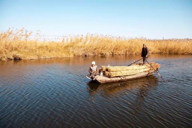 白洋淀冬天的生活，只有60来岁的人才会做……