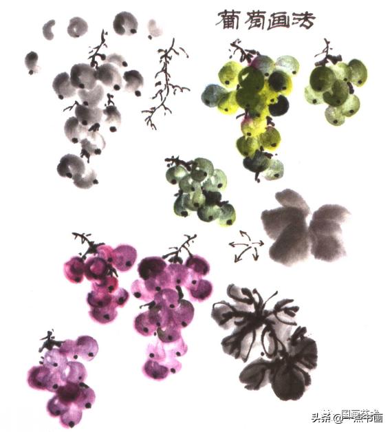 写意蔬果番茄的画法，写意蔬果画法步骤示范