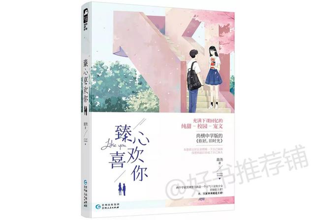 从校服到婚纱双学霸甜宠文双男主，4本男女主双学霸文