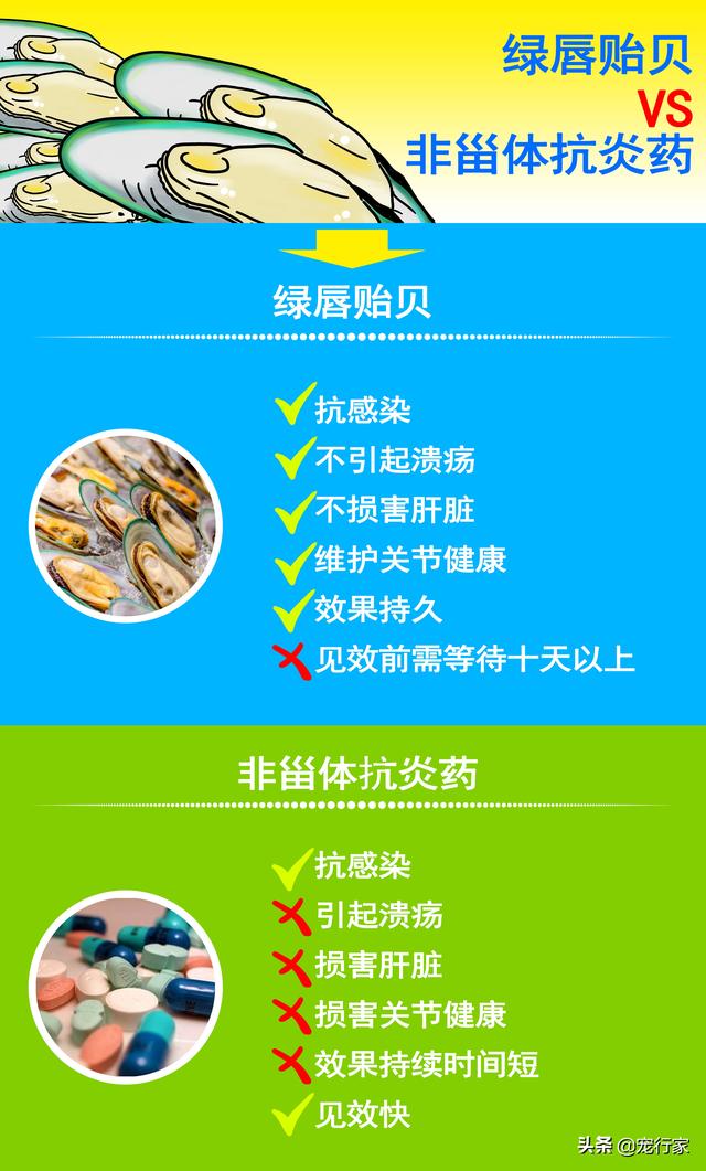 五爪贝饲养最全攻略，五爪贝终于实现人工繁殖啦