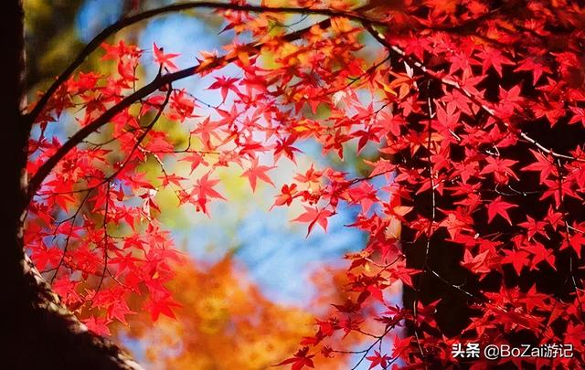 桂林市漓江景区，桂林漓江风景区景点