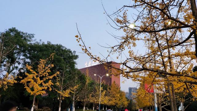 重庆大学虎溪校区，重庆大学虎溪校区全貌