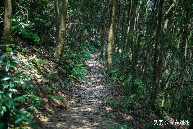 杭州冷门爬山路线，杭州登山路线08最好在这里