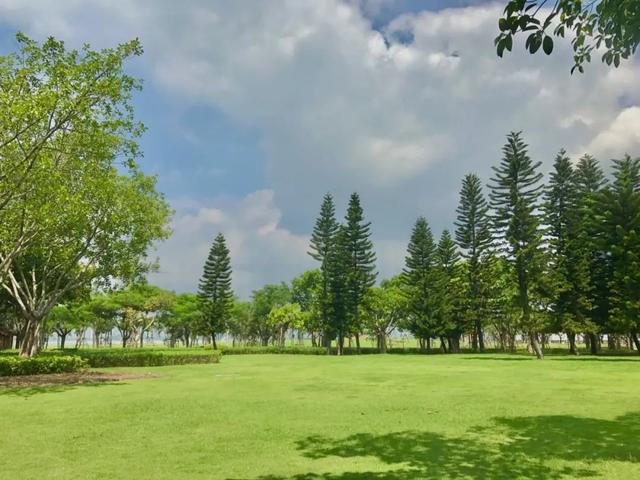 厦门网红打卡地不凡之地，厦门这些网红地