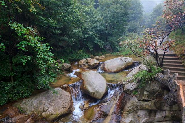 斗罗大陆天上人间，斗罗大陆暗黑系的魂兽（黑暗之魂魄斗罗大陆漫悠悠自然而然）