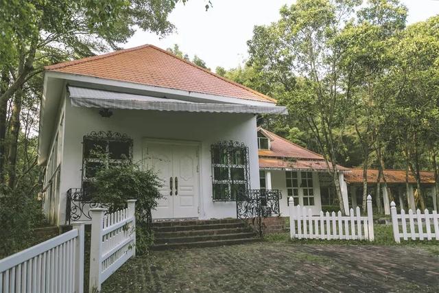 深圳游玩攻略必去的地方免费，7个遛娃好去处全免费