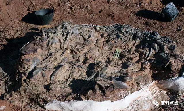 日本投降76周年，日本投降76周年历史回顾（日本投降条款初稿首次曝光）