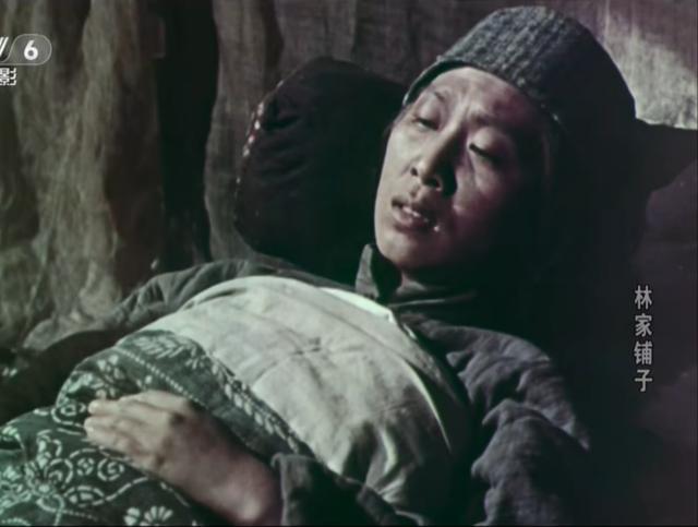 林家铺子创始人林楠身价，《大连品牌力量》专访大连林家铺子食品股份有限公司董事长林楠