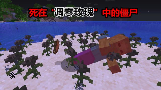 我的世界你一定要知道的冷知识，我的世界还有啥