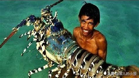 远古时代巨型龙虾，永葆青春真的不再是神话