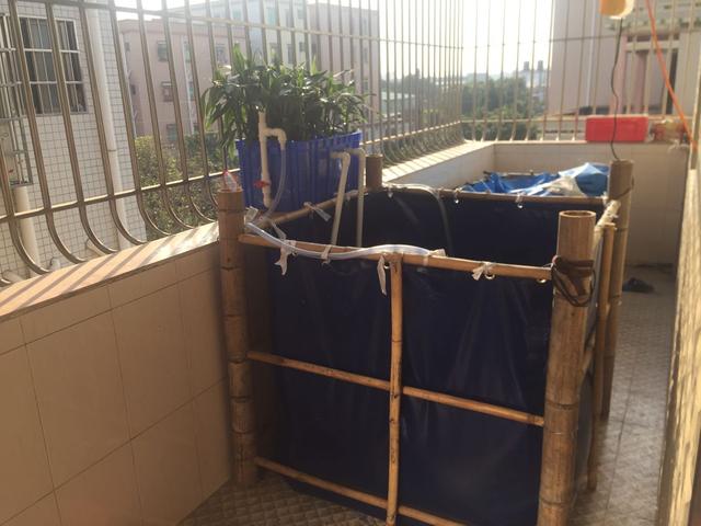 沼泽过滤是不是比别的好，买硝化细菌粉末粉还是液体