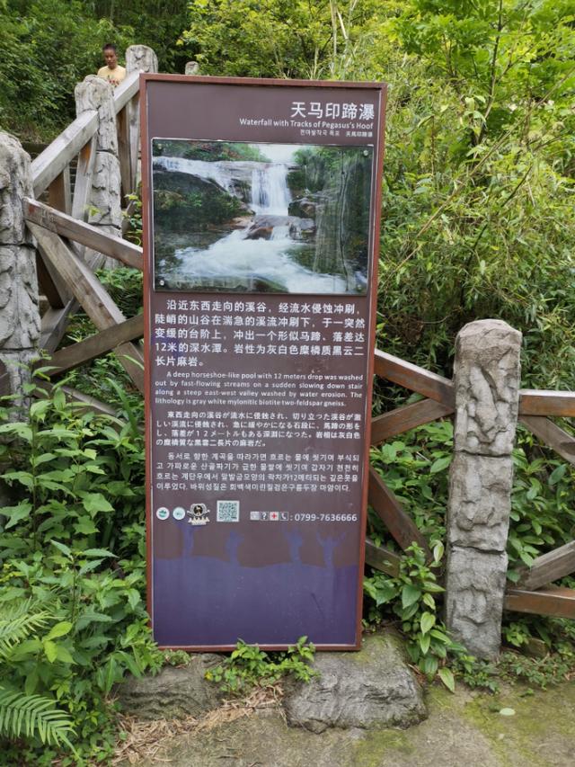 武功山旅游攻略，武功山旅游攻略一日游（江西武功山\u0026仙凤三宝亲子游记）