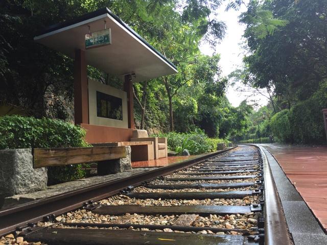 厦门岛内最大公园，厦门岛内6大公园