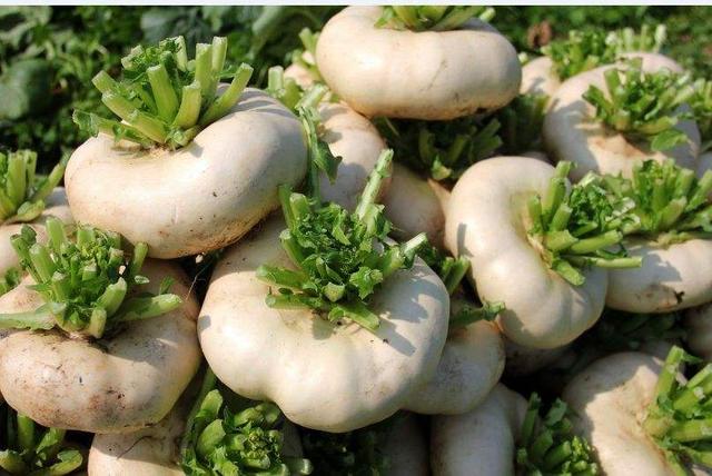 龙岩特产介绍福建龙岩特产大全，听说过闽西八大干