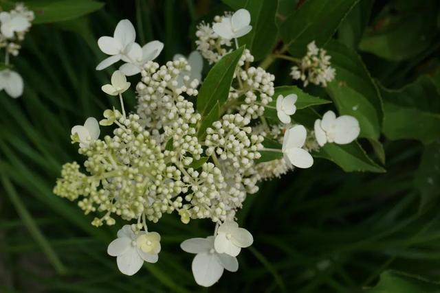 北京必玩景点排名，北京必玩的十个景点排名榜单（北京最值得去的12个景区）