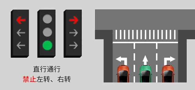 新手怎么看红绿灯图解，看懂新版红绿灯
