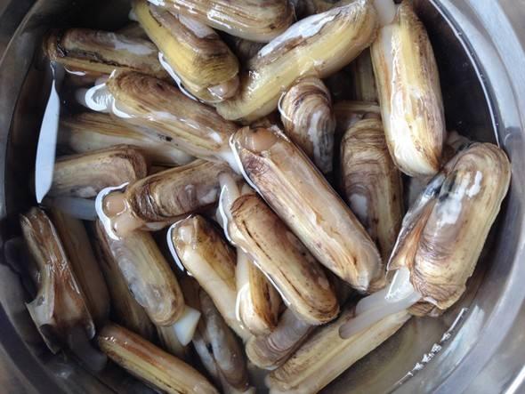 蛏子的清洗处理方法，蛏子好吃难清洗