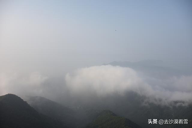 深圳梧桐小镇露营，可以带她在深圳这样玩