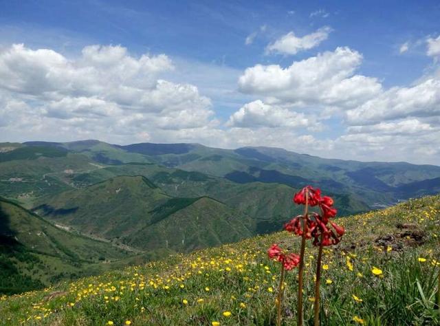 中国五大佛教名山，佛教五大名山简介（五大佛教名山是哪些山）