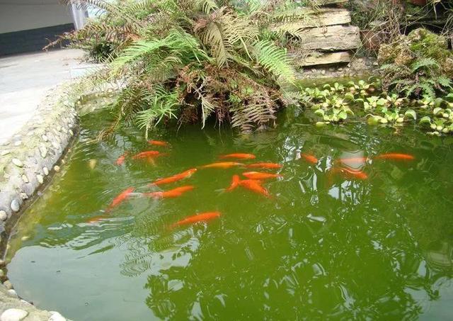 庭院水景观怎么设计，庭院中式元素—叠水