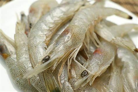 日式料理虾刺身，日本有名的刺身，你喜欢哪一个