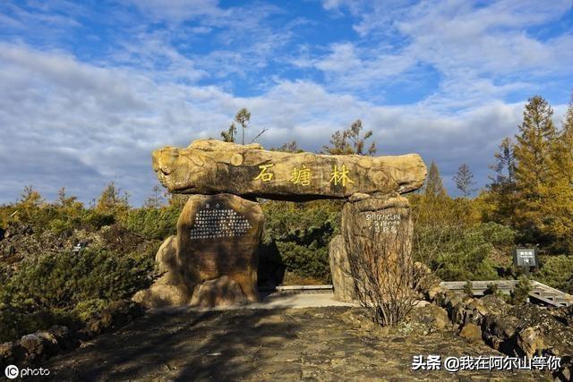 阿尔山旅游攻略，阿尔山旅游攻略大全自驾游（去过三次整理的注意事项）